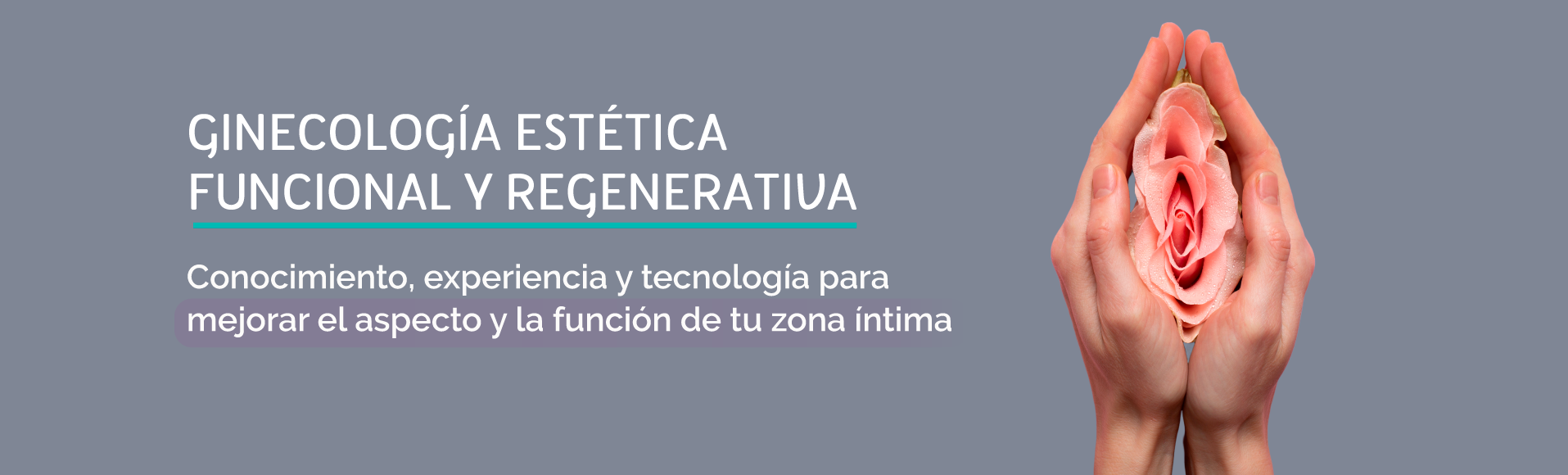 Ginecologia Estetica Y Regenerativa Bogota